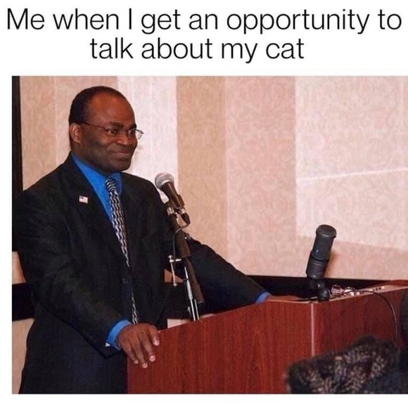 Meet your Posher, Laura - Picture 8 of 11